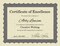 Great Papers! Parchment Certificates with Metallic Border, Silver Border, 8.5" x 11", Printer Compatible, 25 Count